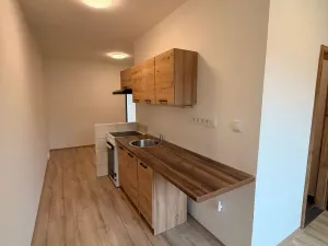 Pronájem bytu 2+1, Chomutov, Školní pěšina, 50 m2