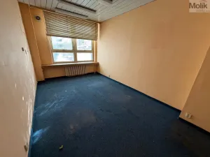 Pronájem skladu, Most, Albrechtická, 500 m2