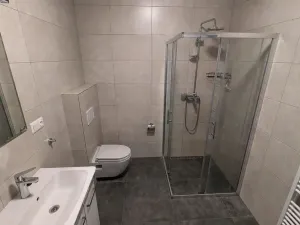 Pronájem apartmánu, Most, Františka Halase, 68 m2