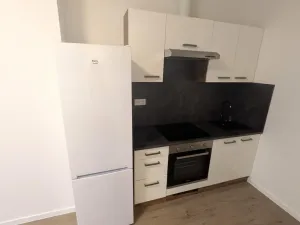 Pronájem apartmánu, Most, Františka Halase, 68 m2