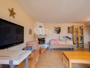 Prodej rodinného domu, Brumovice, Za Humny, 187 m2