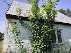Dražba rodinného domu, Jindřichovice pod Smrkem, 87 m2