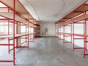 Pronájem obchodního prostoru, Praha - Křeslice, 3300 m2