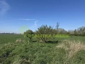 Prodej komerčního pozemku, Holešov, 27330 m2