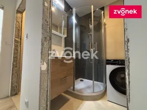 Pronájem bytu 2+1, Zlín - Malenovice, 56 m2