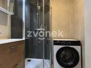 Pronájem bytu 2+1, Zlín - Malenovice, 56 m2