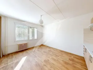 Pronájem bytu 1+kk, Horní Bříza, U Vrbky, 24 m2