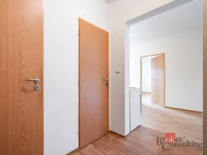 Prodej bytu 1+1, Ostrava - Přívoz, Palackého, 41 m2