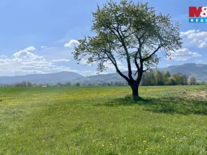 Prodej rodinného domu, Raškovice, 232 m2