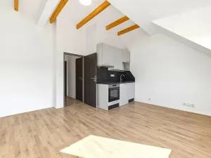 Prodej bytu 1+kk, Praha - Libeň, V zahradách, 26 m2