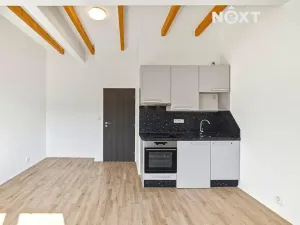 Prodej bytu 1+kk, Praha - Libeň, V zahradách, 26 m2