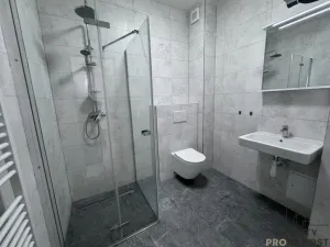 Pronájem bytu 1+kk, Hodonín, Národní třída, 50 m2
