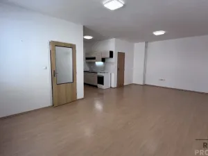 Pronájem bytu 1+kk, Hodonín, Národní třída, 50 m2