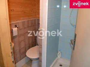 Prodej chalupy, Velké Karlovice, 90 m2
