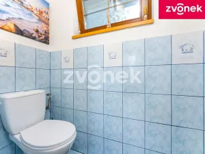 Prodej rodinného domu, Vizovice, 300 m2