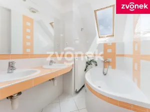 Prodej rodinného domu, Březnice, 207 m2