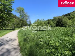 Prodej louky, Brumov-Bylnice - Brumov, 497 m2