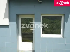 Pronájem obchodního prostoru, Bystřice pod Hostýnem, 270 m2