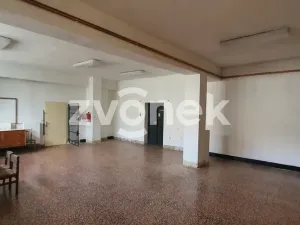 Pronájem obchodního prostoru, Polešovice, 320 m2