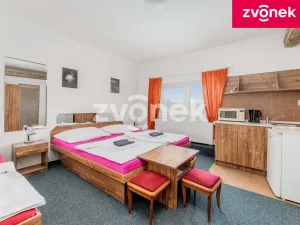 Prodej ubytování, Fryšták, Dolnoveská, 400 m2