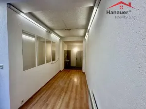 Pronájem obchodního prostoru, Děčín - Děčín I-Děčín, Tyršova, 20 m2