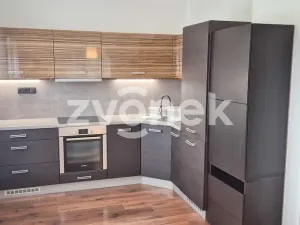 Pronájem rodinného domu, Zlín, Lešenská, 150 m2