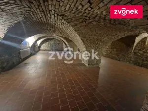 Pronájem obchodního prostoru, Uherské Hradiště, 650 m2