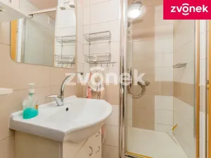 Prodej chalupy, Velké Karlovice, 250 m2