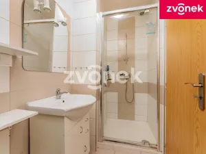 Prodej chalupy, Velké Karlovice, 250 m2