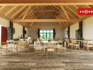 Prodej komerčního pozemku, Velká nad Veličkou, 2441 m2