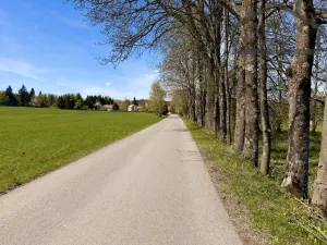 Prodej pozemku pro bydlení, Chodský Újezd - Žďár, 1566 m2