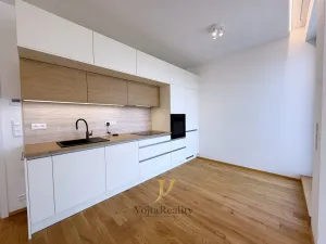 Pronájem bytu 1+kk, Olomouc, Ostrovní, 45 m2