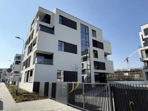 Pronájem bytu 1+kk, Olomouc, Ostrovní, 45 m2