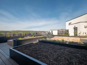 Pronájem bytu 1+kk, Praha - Modřany, Kolmanova, 52 m2