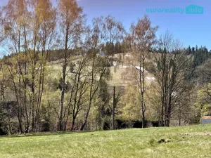 Prodej pozemku pro bydlení, Bublava, 1064 m2