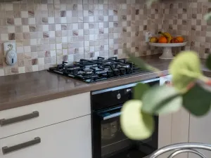 Prodej rodinného domu, Třeboň - Třeboň II, Hliník, 334 m2