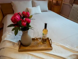 Prodej rodinného domu, Třeboň - Třeboň II, Hliník, 334 m2