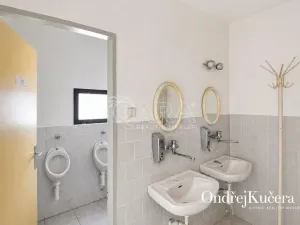 Pronájem skladu, Kosmonosy, 400 m2