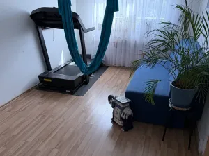 Prodej bytu 3+1, Ostrava, Bedřicha Nikodema, 81 m2