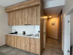Prodej apartmánu, Dolní Morava, 44 m2