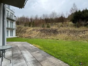 Prodej apartmánu, Dolní Morava, 44 m2