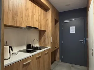 Prodej apartmánu, Dolní Morava, 29 m2