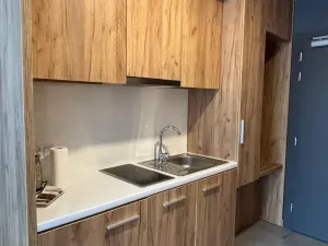 Prodej apartmánu, Dolní Morava, 29 m2