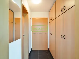 Pronájem bytu 1+kk, Praha, Hartigova, 28 m2