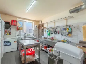 Pronájem restaurace, Kuchařovice, 8.Května, 114 m2