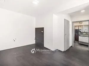 Pronájem restaurace, Kuchařovice, 8.Května, 114 m2