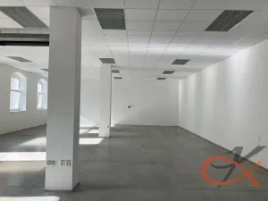Pronájem skladu, Prostějov, Vrahovická, 190 m2