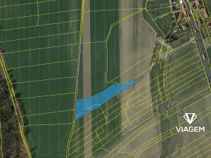 Prodej podílu pole, Golčův Jeníkov, 676 m2