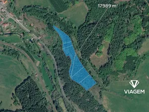 Prodej podílu lesa, Kolinec, 5621 m2