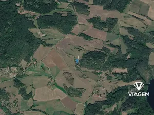 Prodej lesa, Nečín, 2595 m2